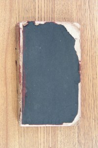 Cover 1931 Diary